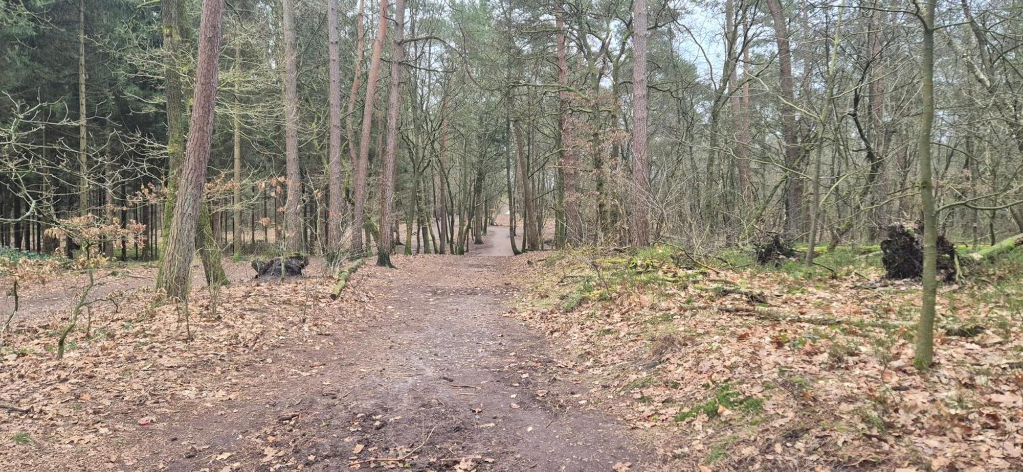 Het Veluwse Boshuisje Knus Chalet Met Omheinde Tuin Op De Veluwe Хундерло Екстериор снимка