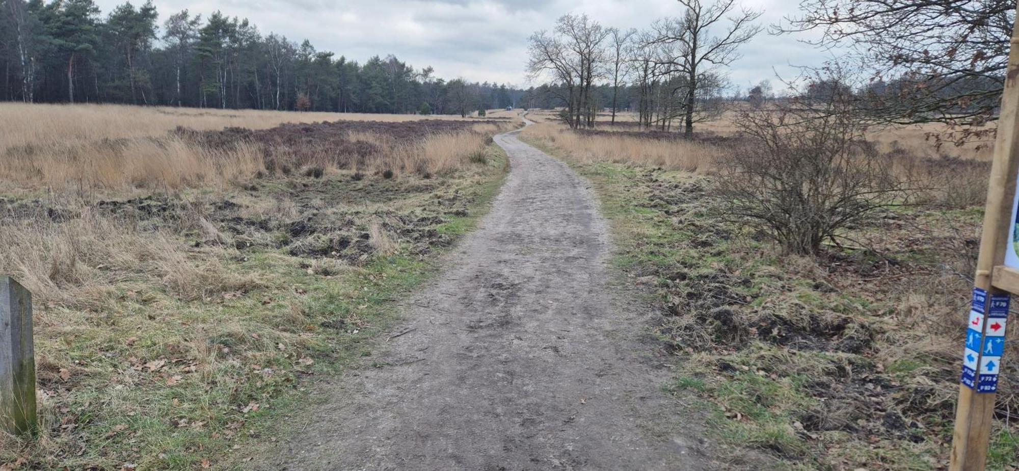 Het Veluwse Boshuisje Knus Chalet Met Omheinde Tuin Op De Veluwe Хундерло Екстериор снимка