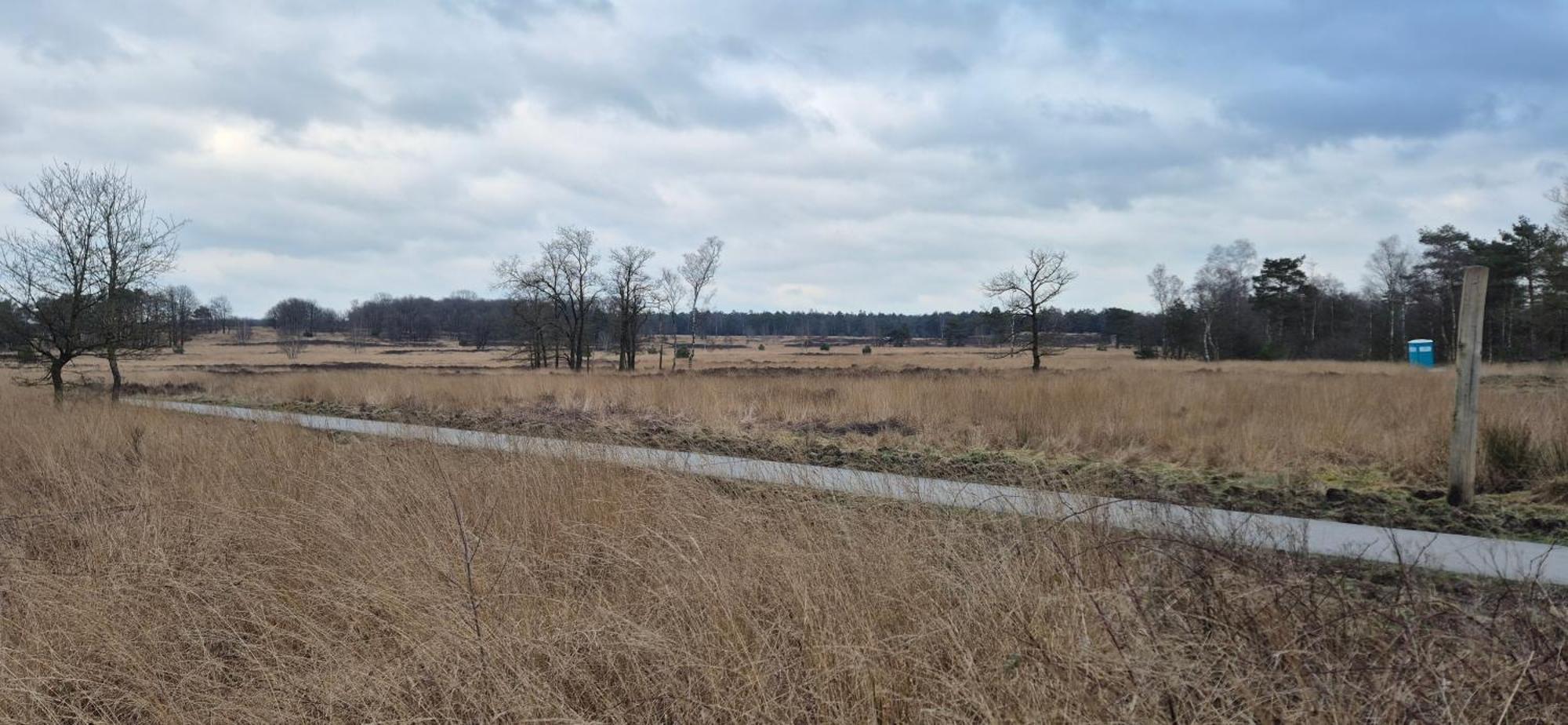 Het Veluwse Boshuisje Knus Chalet Met Omheinde Tuin Op De Veluwe Хундерло Екстериор снимка